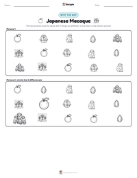 Japanese Macaque printable worksheet preview