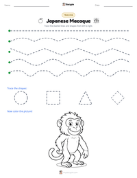 Japanese Macaque printable worksheet preview