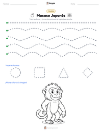 Vista previa de la hoja de trabajo imprimible de Macaco Japonés