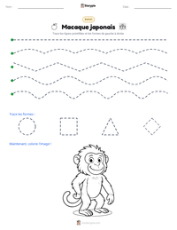 Aperçu de la feuille de travail imprimable Macaque japonais