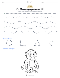 Anteprima della scheda stampabile di Macaco giapponese