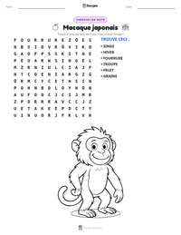 Aperçu de la feuille de travail imprimable Macaque japonais