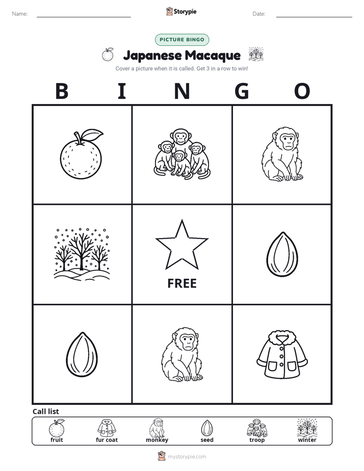 Picture Bingo