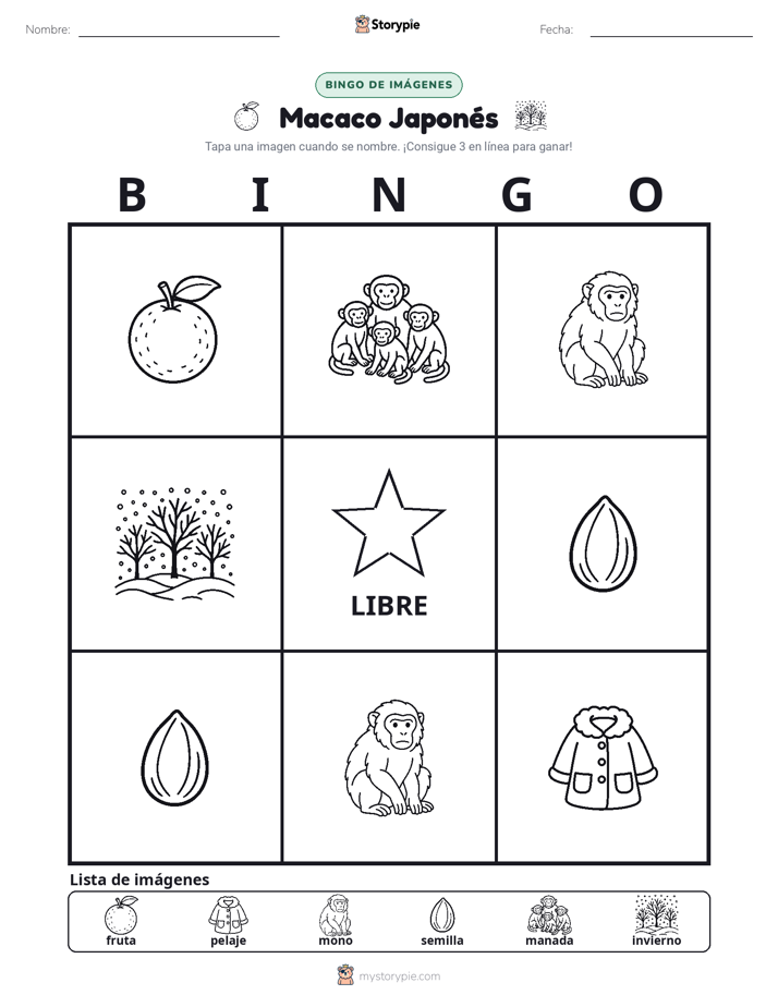 Bingo de Imágenes