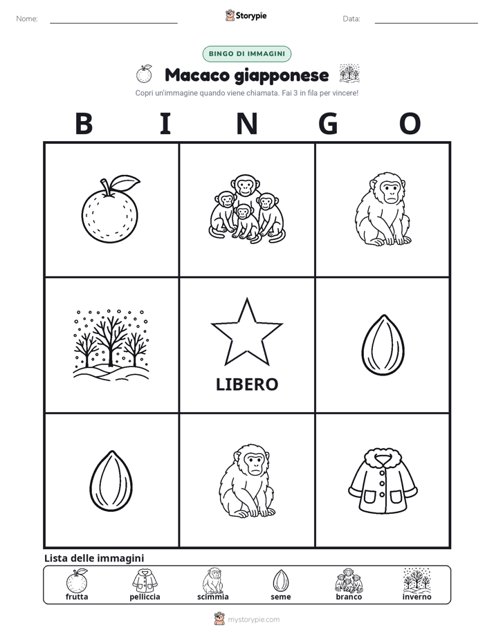 Bingo delle Immagini