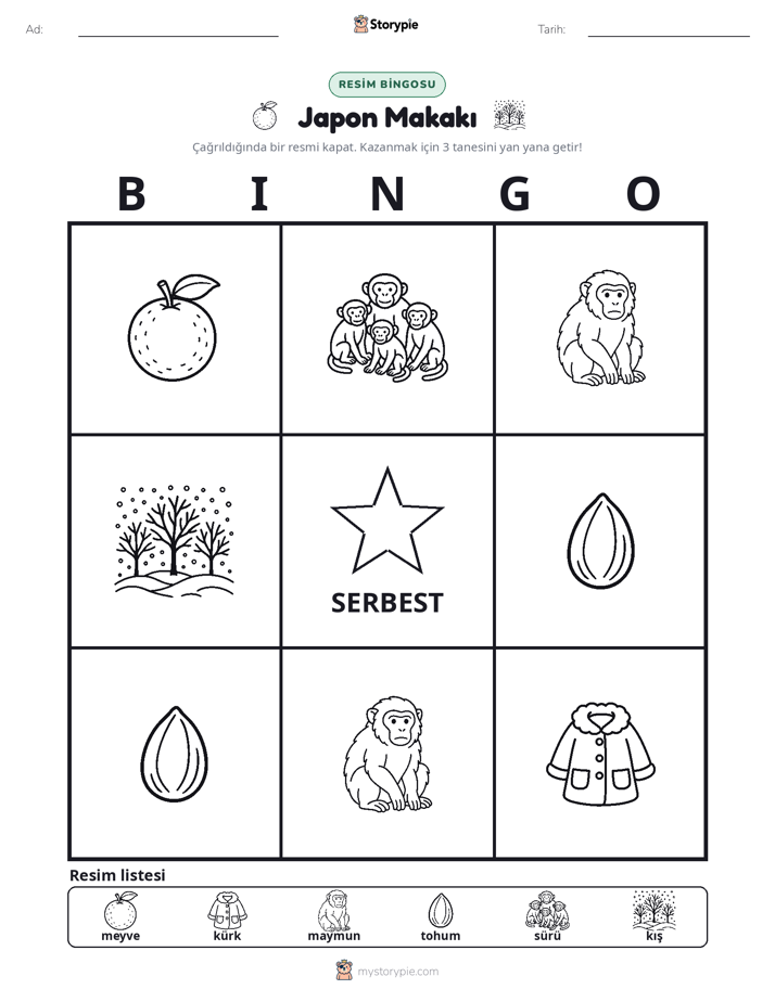 Resim Bingo