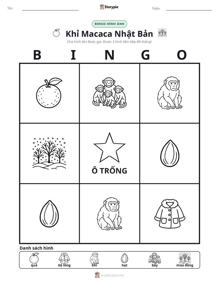 Bingo Hình Ảnh