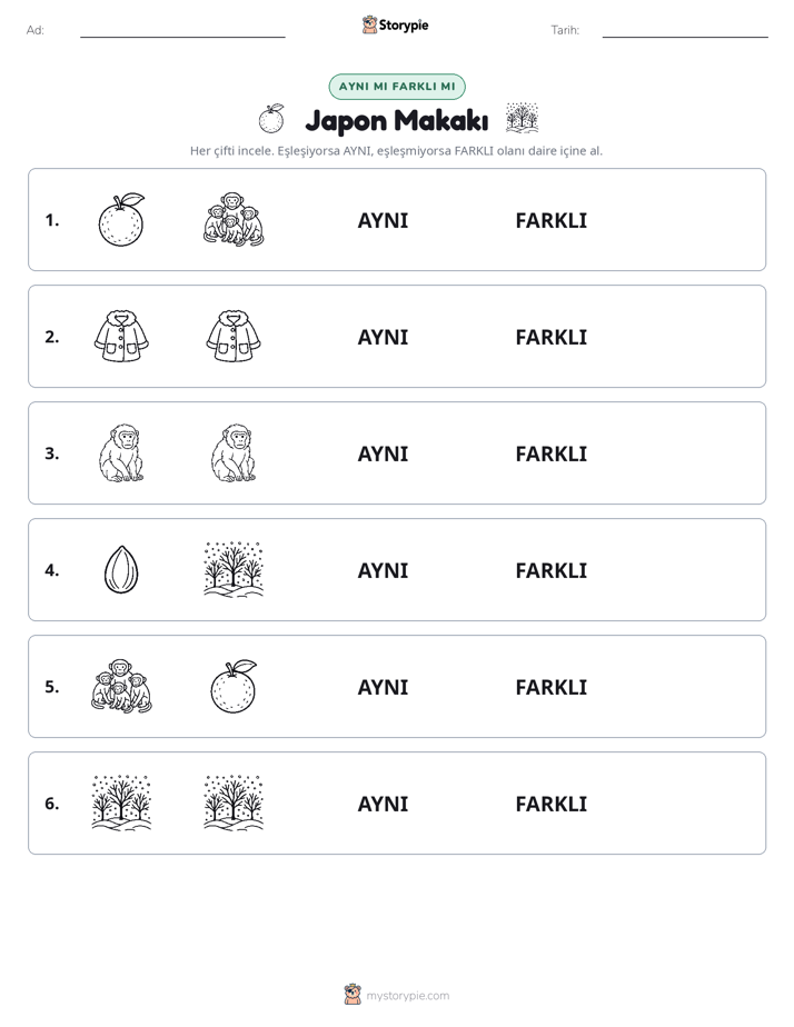 Aynı mı Farklı mı