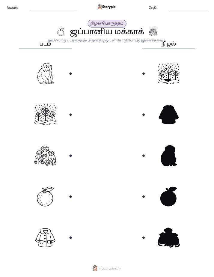 நிழல் பொருத்தம்