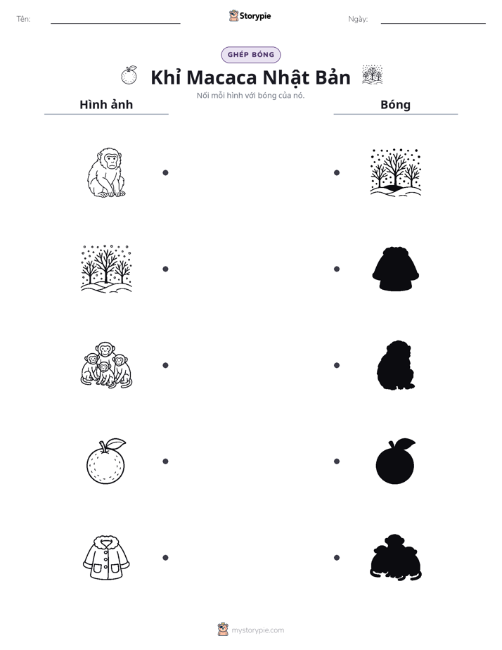 Ghép Hình Bóng