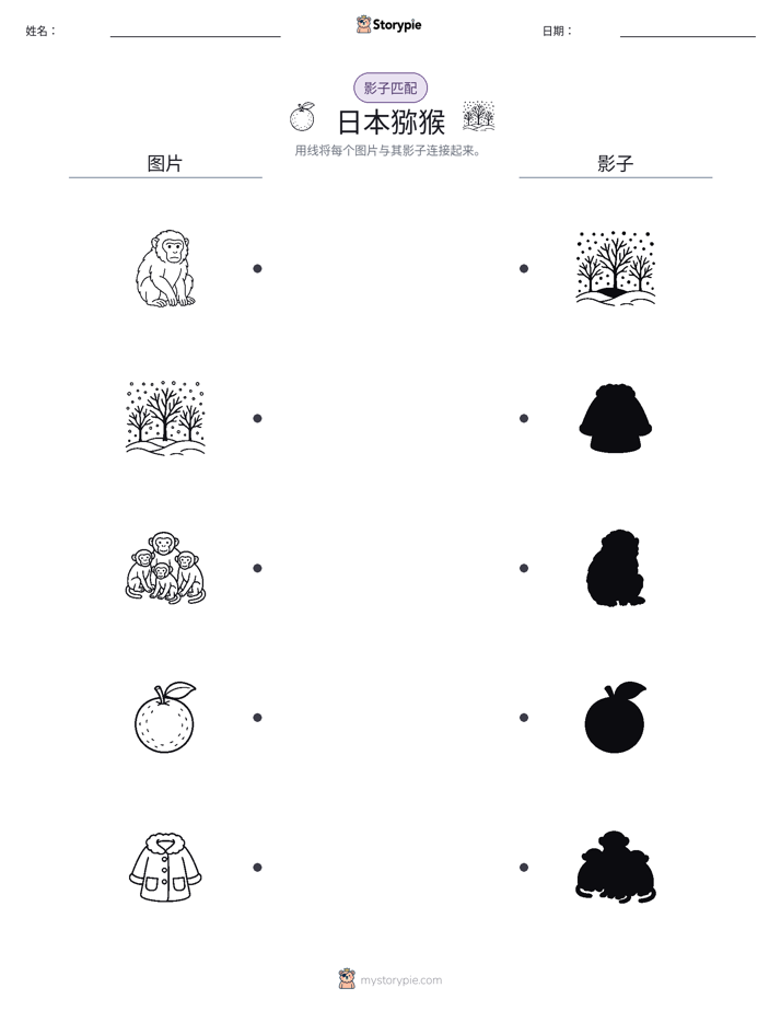 影子匹配