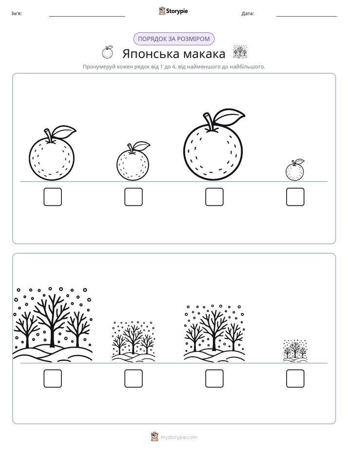 Порядок Розміру