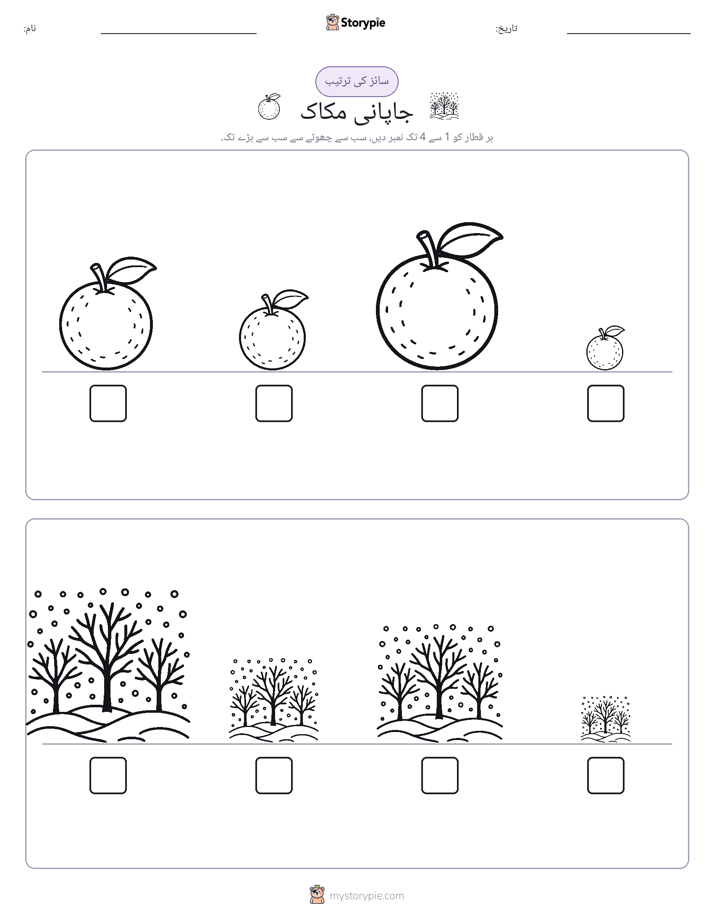 سائز کی ترتیب