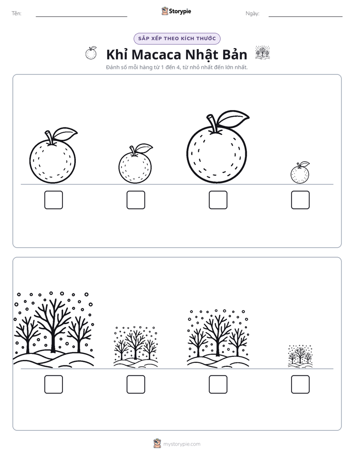 Thứ Tự Kích Thước