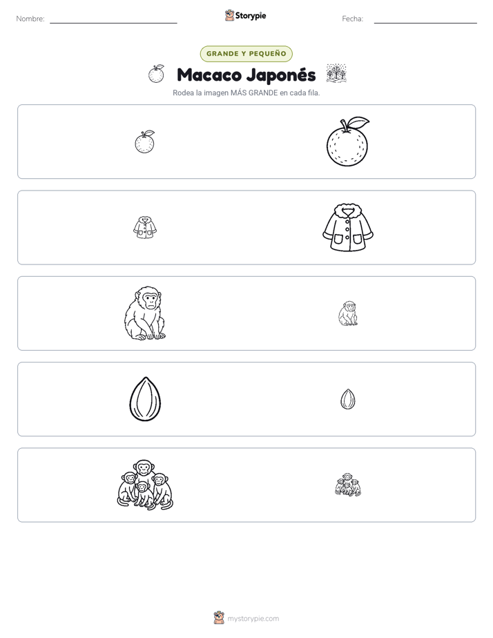 Clasificación