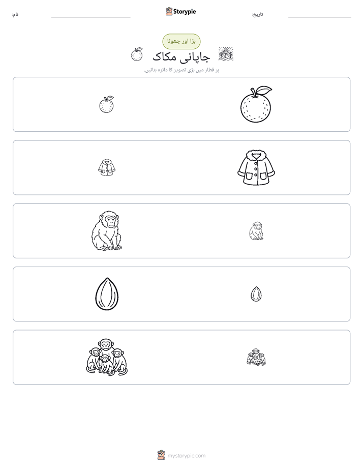 ترتیب دینا