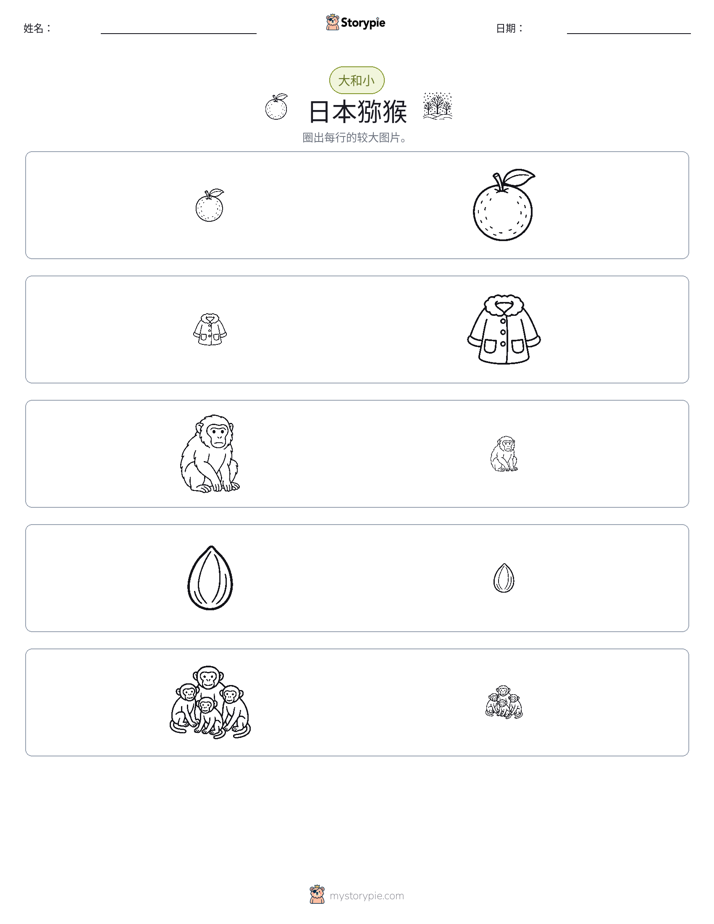 分类