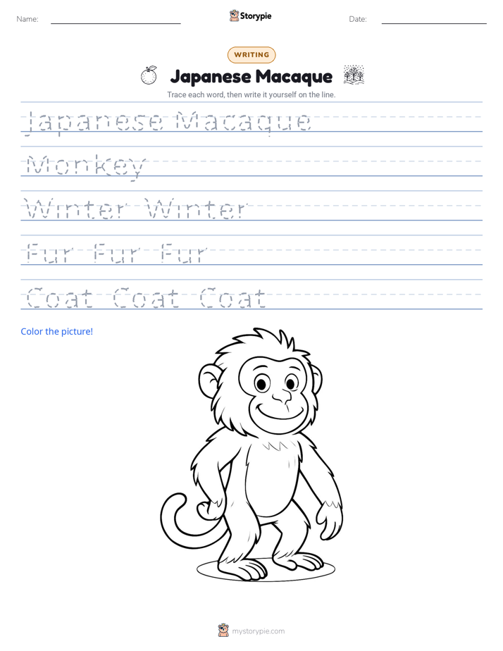 Writing Practice