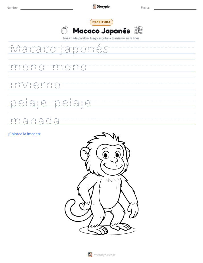 Práctica de Escritura