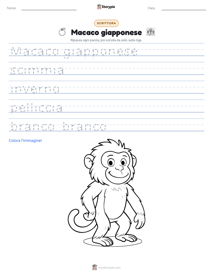 Pratica di Scrittura