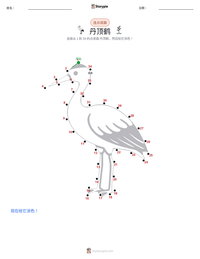丹顶鹤 可打印工作表预览
