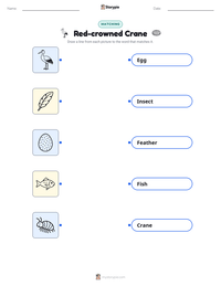 Red-crowned Crane printable worksheet preview
