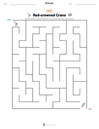 Red-crowned Crane printable worksheet preview