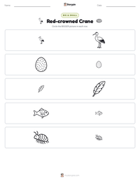 Red-crowned Crane printable worksheet preview