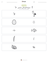سرخ تاج والی سارس پرنٹ کرنے کے قابل ورکشیٹ کا پیش نظارہ