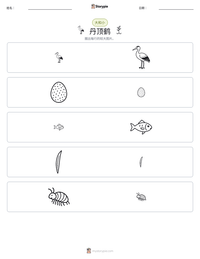 丹顶鹤 可打印工作表预览