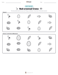 Red-crowned Crane printable worksheet preview