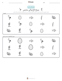 سرخ تاج والی سارس پرنٹ کرنے کے قابل ورکشیٹ کا پیش نظارہ