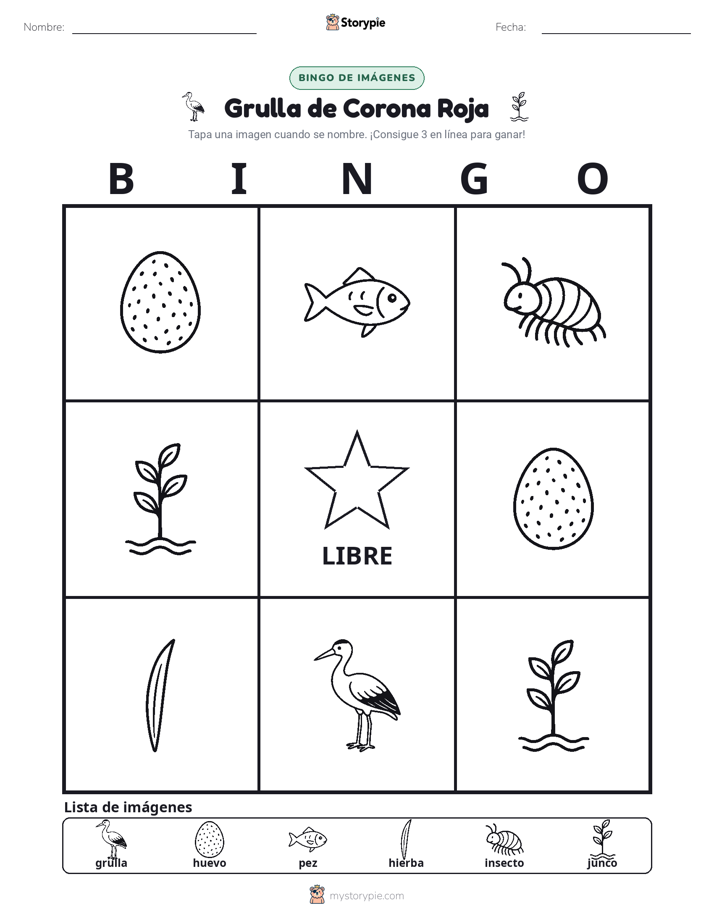 Bingo de Imágenes