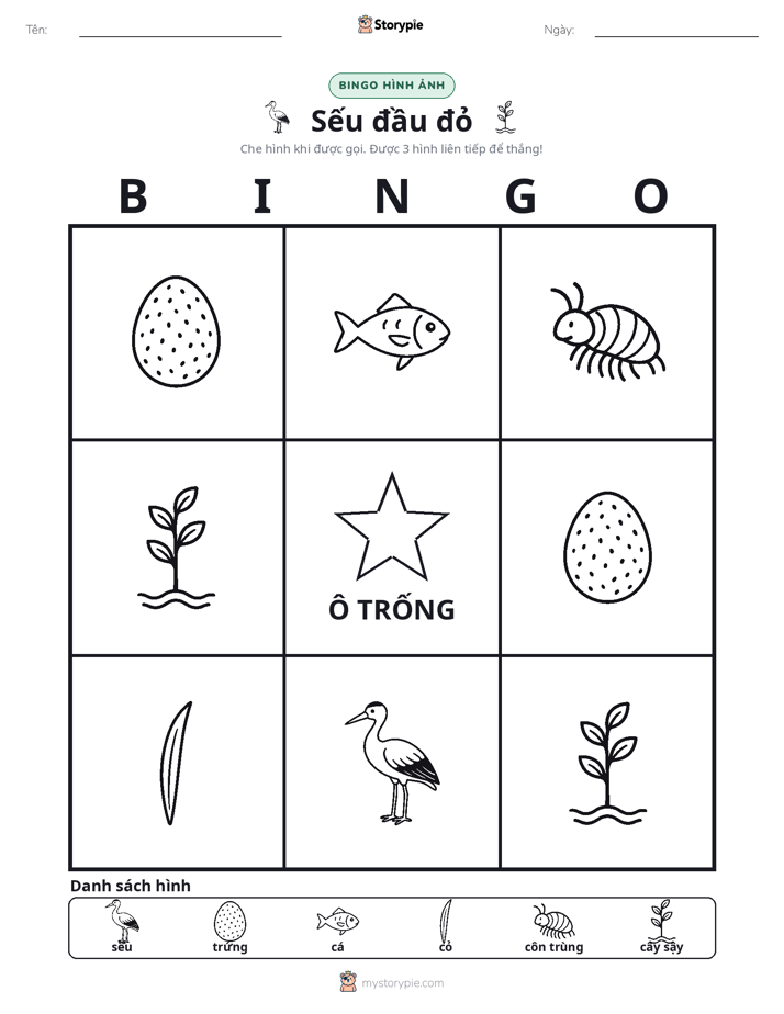 Bingo Hình Ảnh