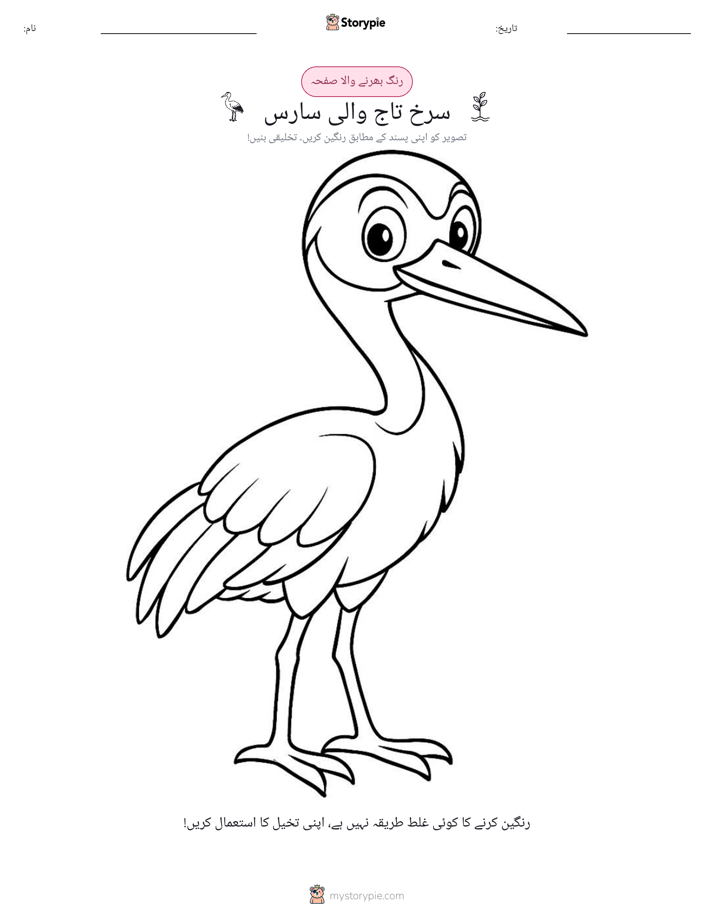 رنگ بھرنے کا صفحہ