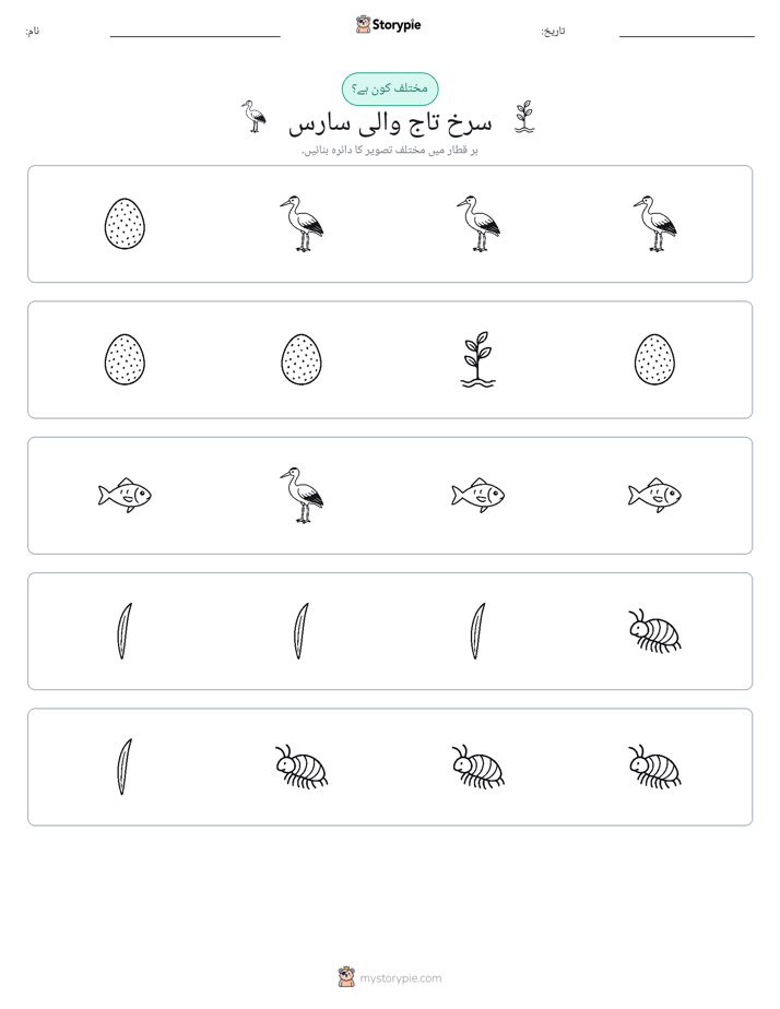 عجیب ایک