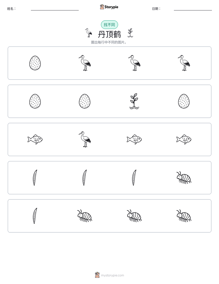 找不同