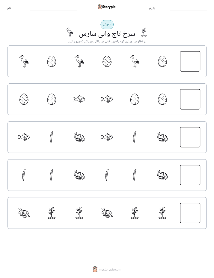 پیٹرن