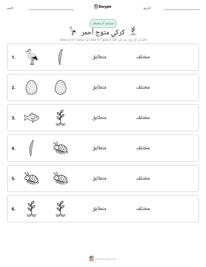 نفس أو مختلف