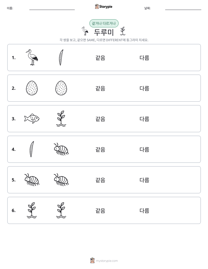 같은 것 또는 다른 것
