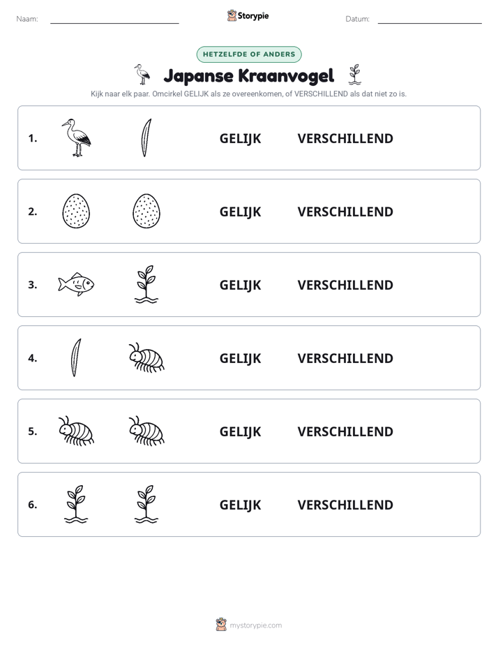Zelfde of Verschillend