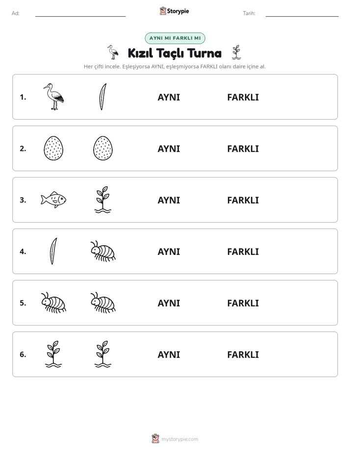 Aynı mı Farklı mı