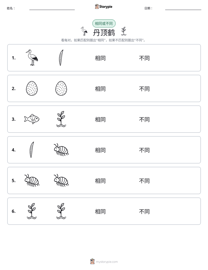 相同或不同
