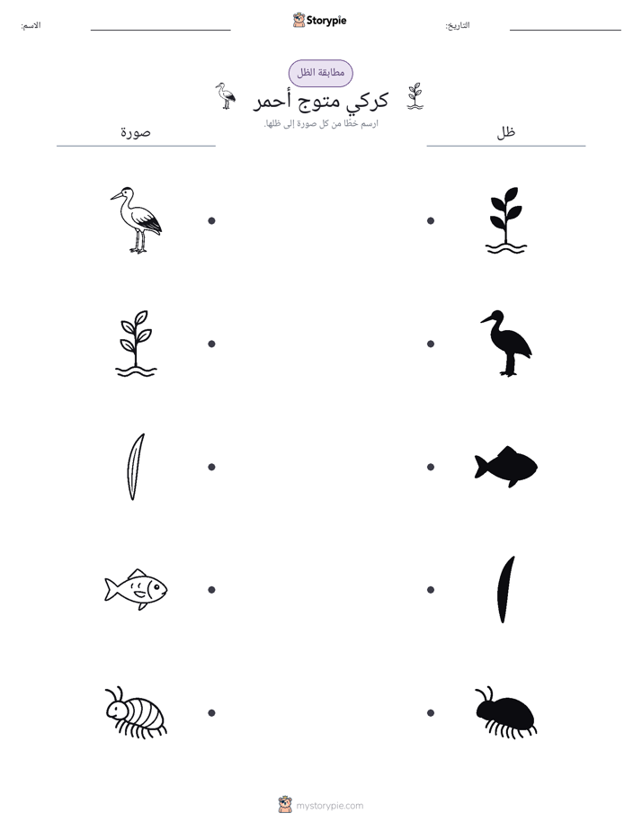 مطابقة الظل