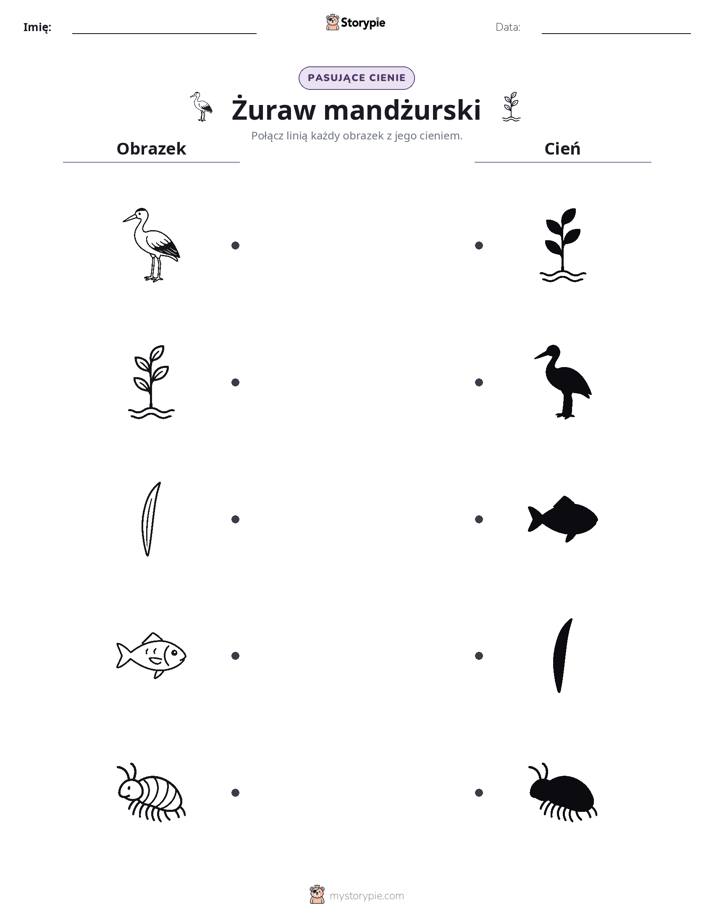 Dopasowanie cieni