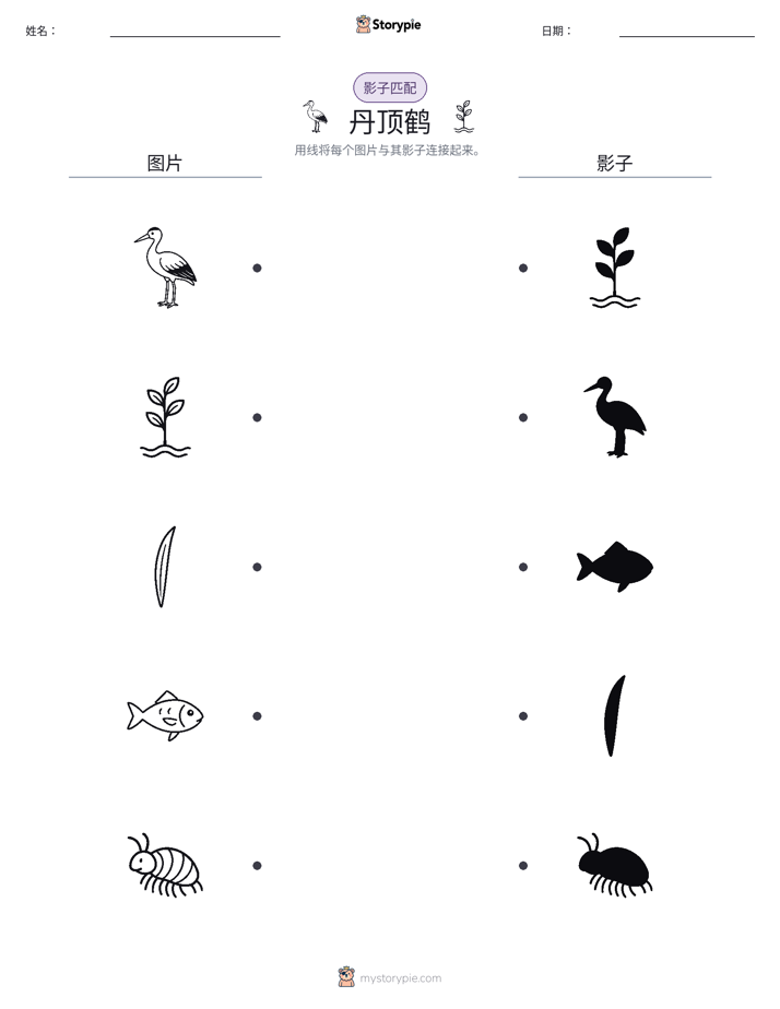 影子匹配