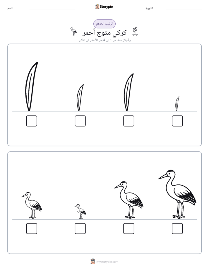ترتيب الحجم