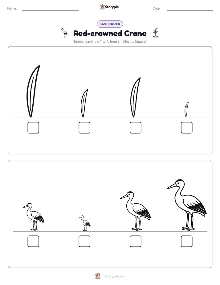 Size Order