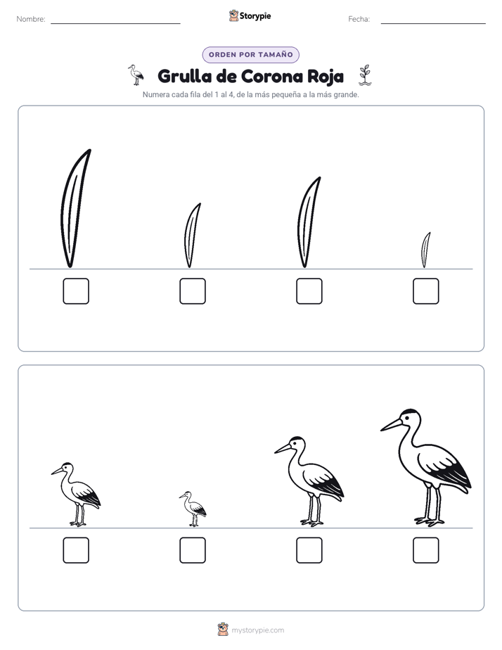 Orden de Tamaños