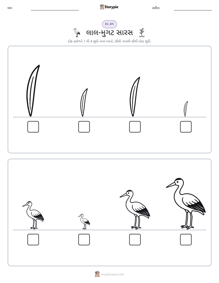 આકાર ક્રમ